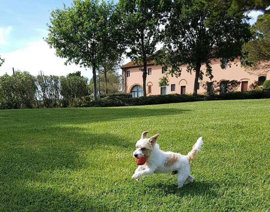 La Magnifica B&B Fauglia Exterior foto